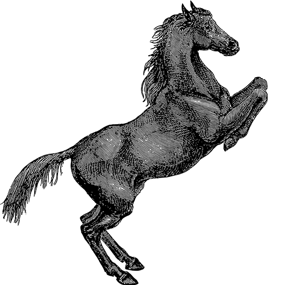 欧冠直播